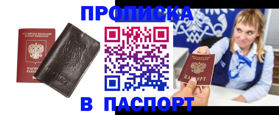где прописаться в Сланцах